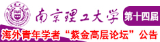 搡bb插bb南京理工大学第十四届海外青年学者紫金论坛诚邀海内外英才！